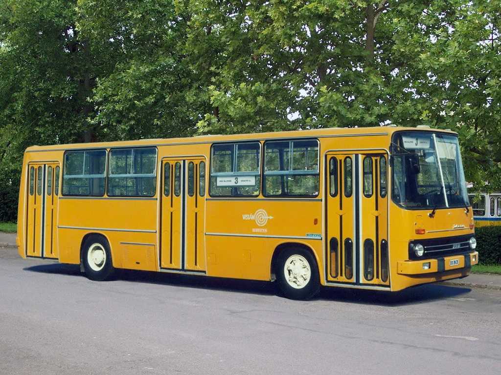 40 редких фото автобусов «икарус» разных лет и история расцвета и заката фирмы