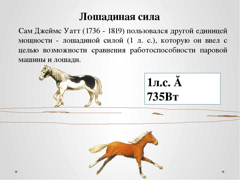 Скорость человека лошади. Сила лошади в лошадиных силах. Метрическая Лошадиная сила. Мощность лошади в лошадиных силах. 1 Лошадиная сила в лошадях.