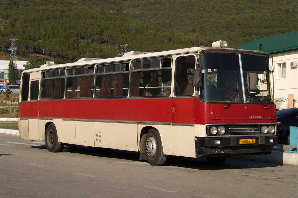 Автобус ikarus 256: описание и устройство, модификации, отзывы водителей и пассажиров, агрегатные, базовые, технические и дополнительные характеристики