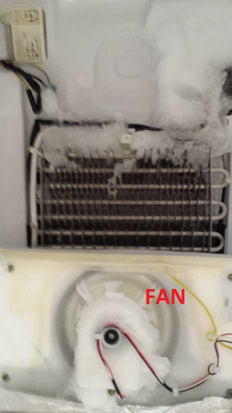 Почему холодильник сильно гудит. Вентилятор для холодильника Индезит ноу Фрост. Холодильник Samsung RF-62 UBRS. Вентилятор для холодильника самсунг ноу Фрост. Холодильник самсунг ноу Фрост моторный отсек.