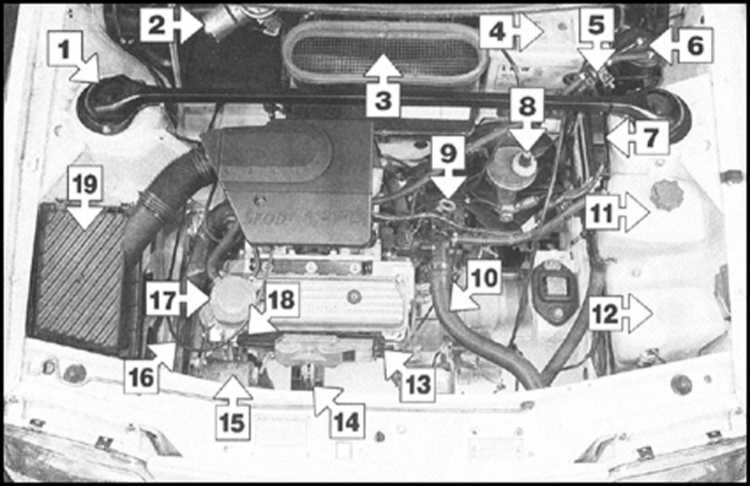 Skoda felicia: текущее обслуживание (бензиновые модели) - проверка исправности функционирования 
системы управления двигателем - текущее обслуживание - руководство по эксплуатации, техническому обслуживанию и ремонту автомобиля skoda felicia