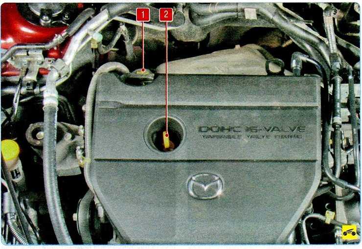 Как правильно проверять уровень масла в двигателе форд