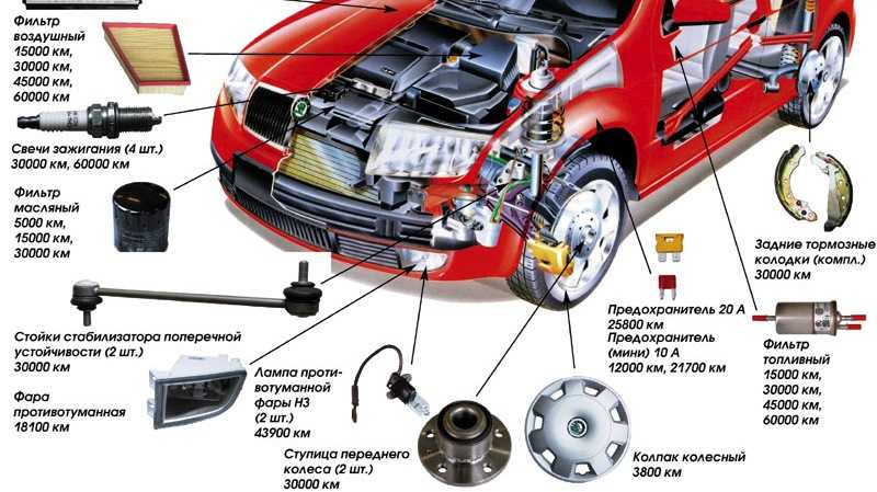 Skoda fabia: снятие и установка пружины - задняя подвеска - инструкция по эксплуатации автомобиля skoda fabia