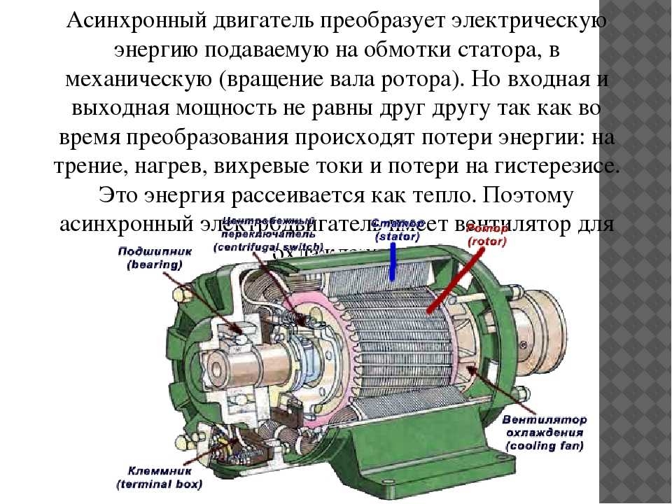 Короткозамкнутый и фазный ротор — в чем различие