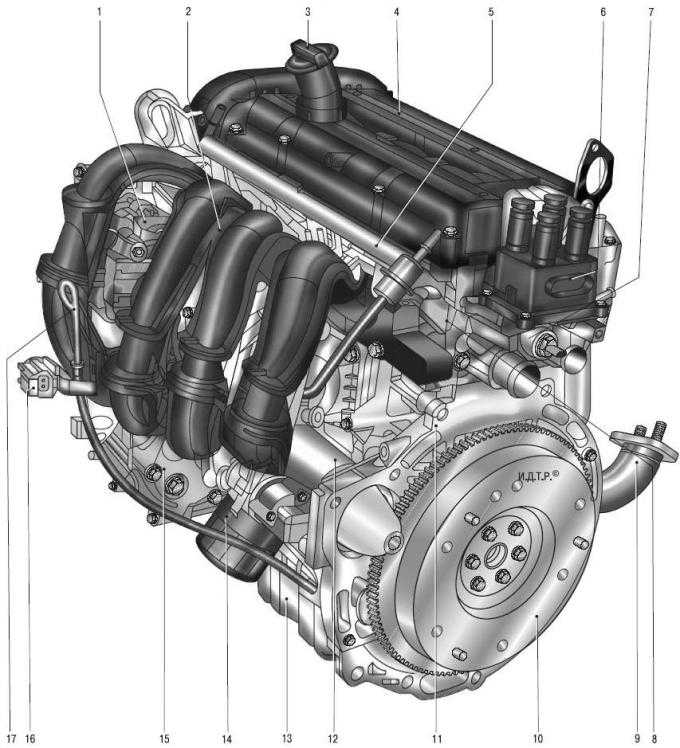 Двигатель форд фокус 2.0, устройство, характеристика двигателя ford focus 2.0 литра