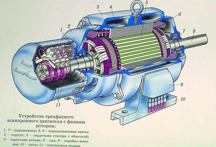 Асинхронные электродвигатели: схема, принцип работы и устройство