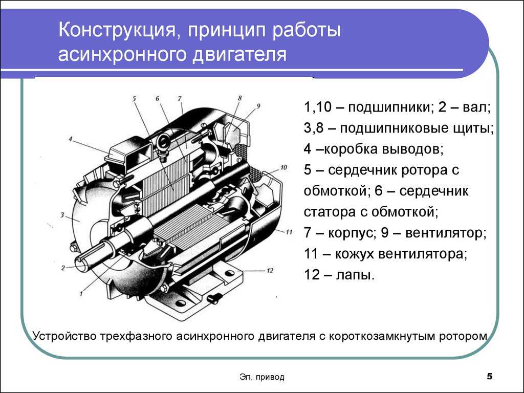 Принцип работы электродвигателя переменного тока, устройство электромотора.