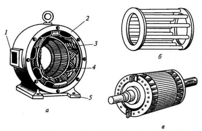 Как работает коллекторный двигатель со щеточным механизмом в бытовой технике