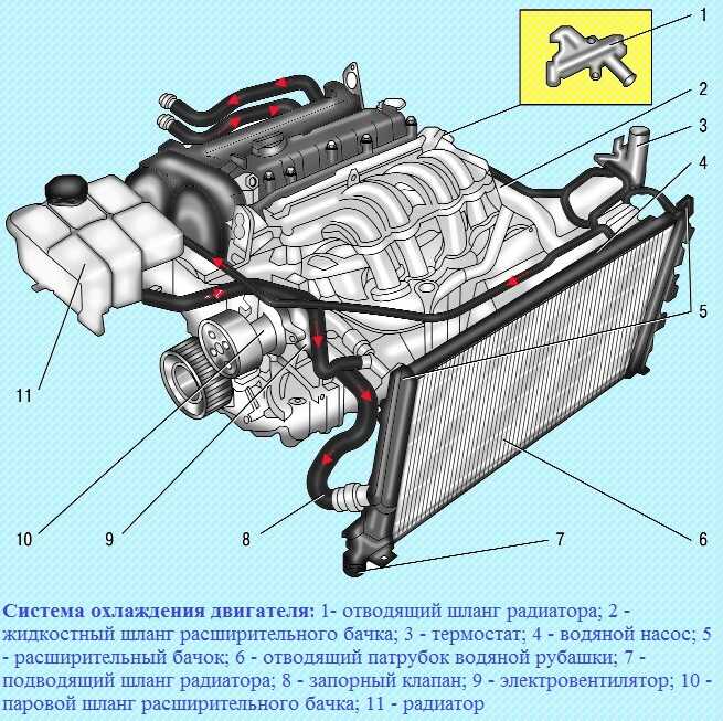 Система охлаждения форд фокус 2