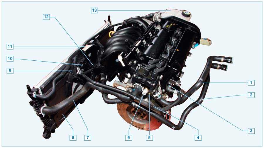 2.4. ford focus ii. система охлаждения двигателей 1,4duratec, 1,6duratec и 1,6duratec ti-vct — «важно всем» - автотранспортный портал