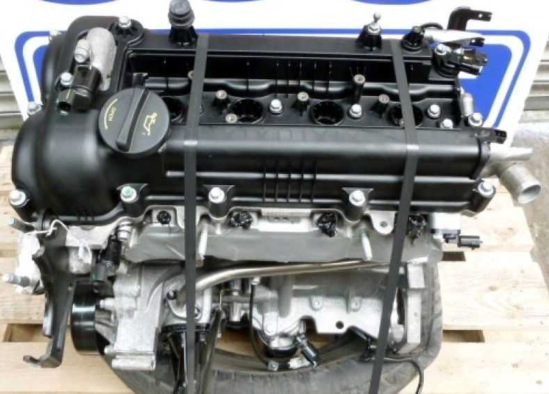 Двигатель g4fg 1.6 | характеристики, масло, проблемы